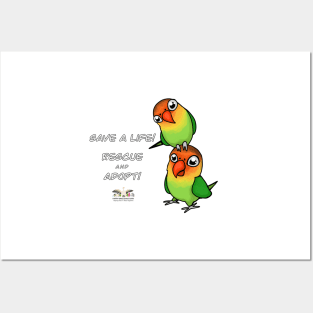 Save a Life!  Rescue & Adopt ~ Lovebird Posters and Art